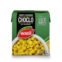 CONSERVA WASIL CHOCLO DULCE 340 grs.