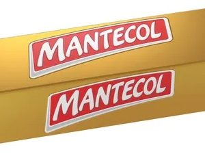 MANTECOL LINGOTE 500GRS