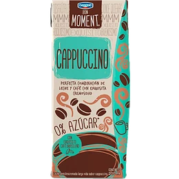LECHE CAPUCCINO LIQUIDA BON MOMENT DANONE 200 ML