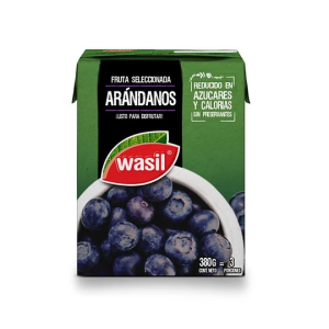 ARANDANOS EN CONSERVA WASIL TETRA  380 GRS