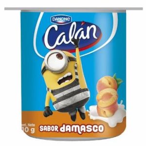 YOGHURT CALAN DAMASCO 48X110 GRS