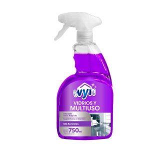 LIMPIAVIDRIOS WYN 6X750 ML